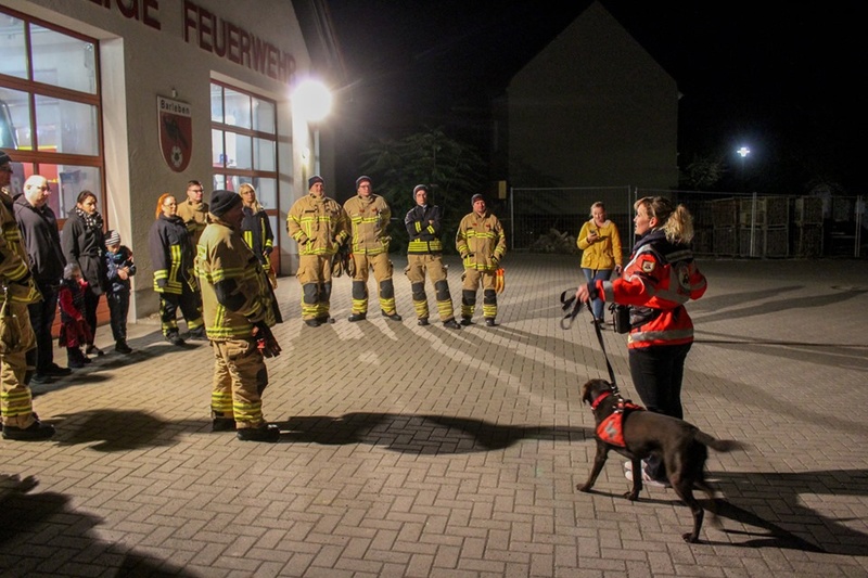Rettungshunde unterstützen Einsatzkräfte